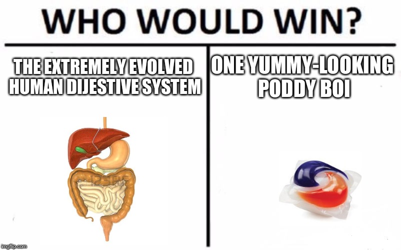 Who Would Win? Meme | THE EXTREMELY EVOLVED HUMAN DIJESTIVE SYSTEM; ONE YUMMY-LOOKING PODDY BOI | image tagged in memes,who would win | made w/ Imgflip meme maker