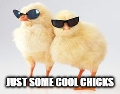 JUST SOME COOL CHICKS | made w/ Imgflip meme maker