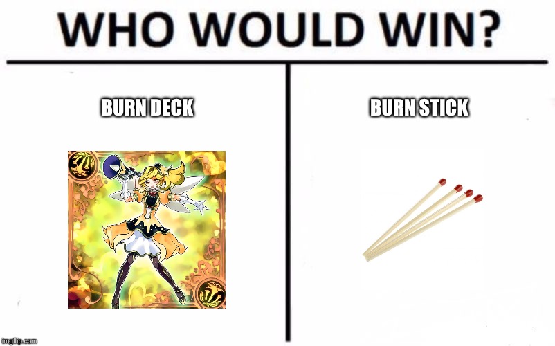 Who Would Win? Meme | BURN DECK; BURN STICK | image tagged in memes,who would win | made w/ Imgflip meme maker