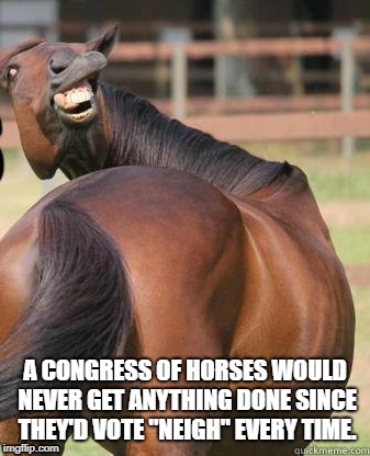 Yea or Neigh? | A CONGRESS OF HORSES WOULD NEVER GET ANYTHING DONE SINCE THEY'D VOTE "NEIGH" EVERY TIME. | image tagged in horses ass | made w/ Imgflip meme maker