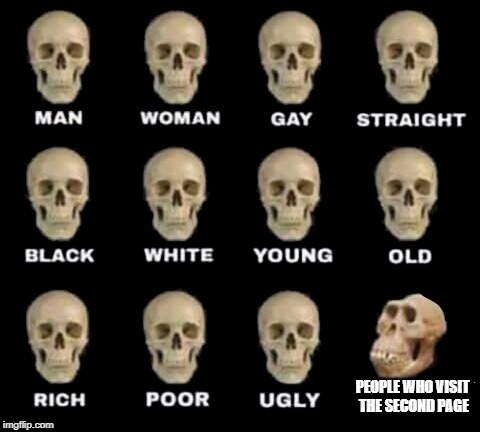 idiot skull | PEOPLE WHO VISIT THE SECOND PAGE | image tagged in idiot skull | made w/ Imgflip meme maker