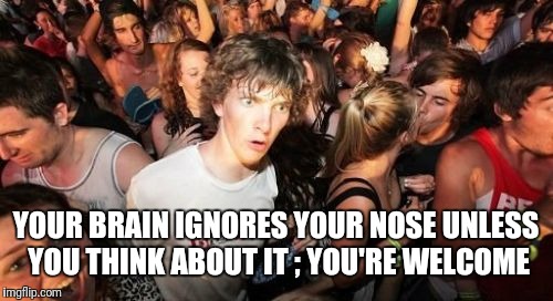 Sudden Clarity Clarence Meme | YOUR BRAIN IGNORES YOUR NOSE UNLESS YOU THINK ABOUT IT ; YOU'RE WELCOME | image tagged in memes,sudden clarity clarence | made w/ Imgflip meme maker