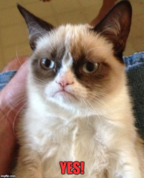Grumpy Cat Meme | YES! | image tagged in memes,grumpy cat | made w/ Imgflip meme maker
