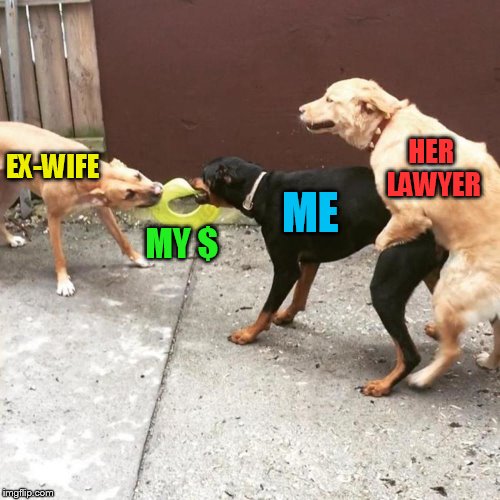 EX-WIFE MY $ ME HER LAWYER | image tagged in this is my life | made w/ Imgflip meme maker
