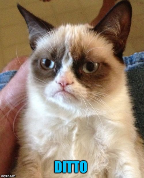 Grumpy Cat Meme | DITTO | image tagged in memes,grumpy cat | made w/ Imgflip meme maker