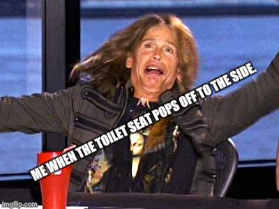 I hate it when this happens! | ME WHEN THE TOILET SEAT POPS OFF TO THE SIDE. | image tagged in steven tyler | made w/ Imgflip meme maker