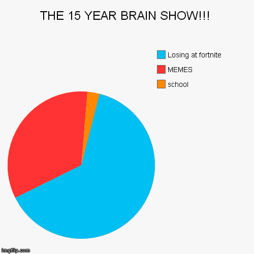 THE 15 YEAR BRAIN SHOW!!! | school, MEMES, Losing at fortnite | image tagged in funny,pie charts | made w/ Imgflip chart maker