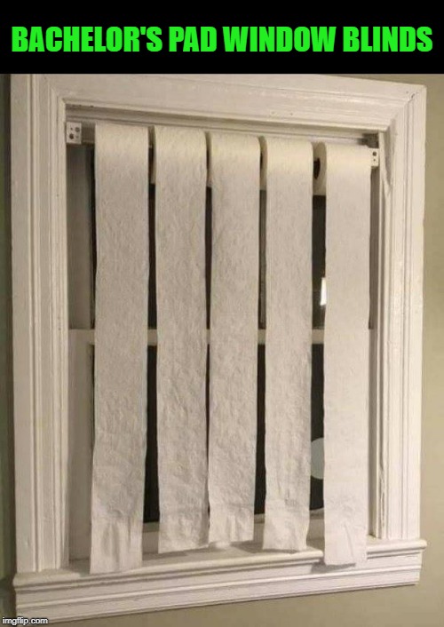 bachelor's pad | BACHELOR'S PAD WINDOW BLINDS | image tagged in window,budget | made w/ Imgflip meme maker