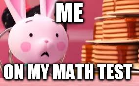 That is true  | ME; ON MY MATH TEST | image tagged in bunny,pancakes,life | made w/ Imgflip meme maker