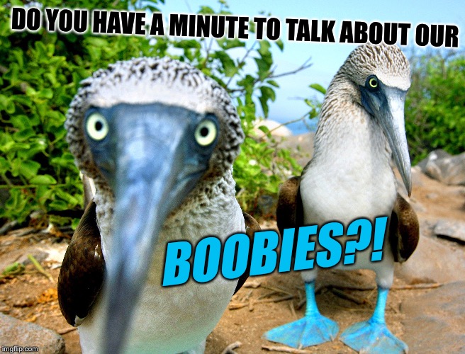 DO YOU HAVE A MINUTE TO TALK ABOUT OUR BOOBIES?! | made w/ Imgflip meme maker