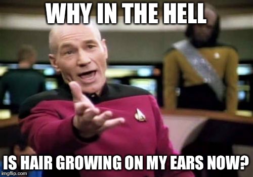 Adding hair in new places | WHY IN THE HELL; IS HAIR GROWING ON MY EARS NOW? | image tagged in memes,picard wtf,hairy ears | made w/ Imgflip meme maker
