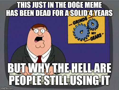 Peter Griffin News | THIS JUST IN THE DOGE MEME HAS BEEN DEAD FOR A SOLID 4 YEARS; BUT WHY THE HELL ARE PEOPLE STILL USING IT | image tagged in memes,peter griffin news | made w/ Imgflip meme maker