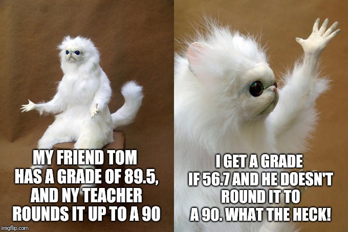This is definitely Favoritism |  I GET A GRADE IF 56.7 AND HE DOESN'T ROUND IT TO A 90. WHAT THE HECK! MY FRIEND TOM HAS A GRADE OF 89.5, AND NY TEACHER ROUNDS IT UP TO A 90 | image tagged in memes,persian cat room guardian | made w/ Imgflip meme maker