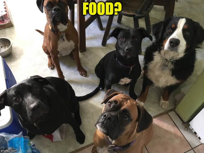 FOOD? | made w/ Imgflip meme maker