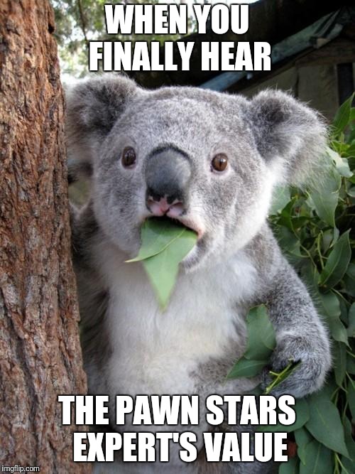 Surprised Koala | WHEN YOU FINALLY HEAR; THE PAWN STARS EXPERT'S VALUE | image tagged in memes,surprised koala | made w/ Imgflip meme maker