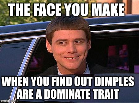 jim carrey meme  |  THE FACE YOU MAKE; WHEN YOU FIND OUT DIMPLES ARE A DOMINATE TRAIT | image tagged in jim carrey meme | made w/ Imgflip meme maker