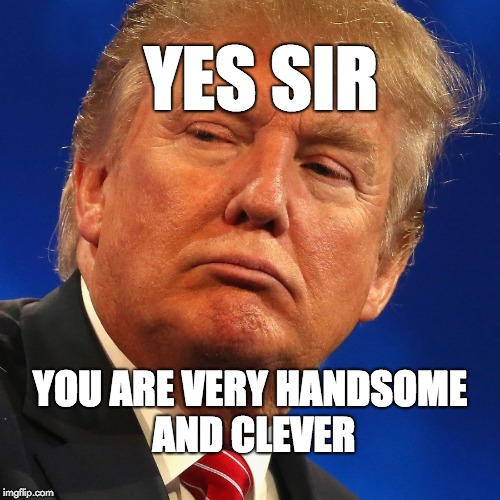 Yes sir, you are very handsome and clever. | YES SIR; YOU ARE VERY HANDSOME AND CLEVER | image tagged in trump,authoritarian,fascist,usa,maga | made w/ Imgflip meme maker