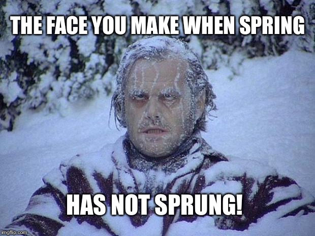 Jack Nicholson The Shining Snow Meme | THE FACE YOU MAKE WHEN SPRING; HAS NOT SPRUNG! | image tagged in memes,jack nicholson the shining snow | made w/ Imgflip meme maker