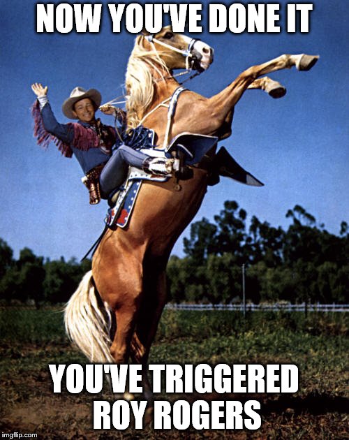 NOW YOU'VE DONE IT YOU'VE TRIGGERED ROY ROGERS | made w/ Imgflip meme maker