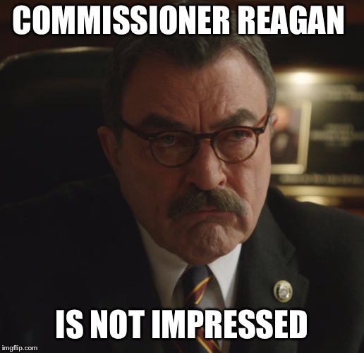 COMMISSIONER REAGAN; IS NOT IMPRESSED | image tagged in commissioner reagan | made w/ Imgflip meme maker