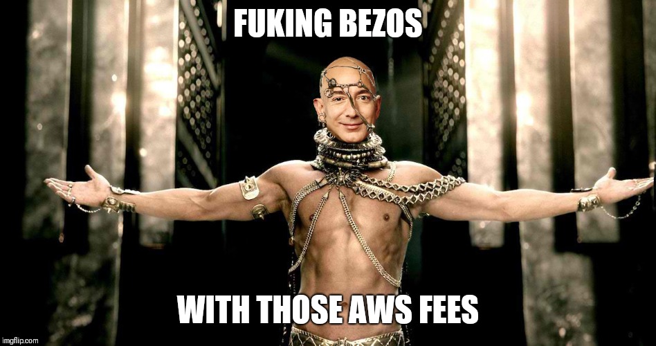 Jeff Bezos Xerces 300 Rise of an Amazon Empire | FUKING BEZOS; WITH THOSE AWS FEES | image tagged in jeff bezos xerces 300 rise of an amazon empire | made w/ Imgflip meme maker
