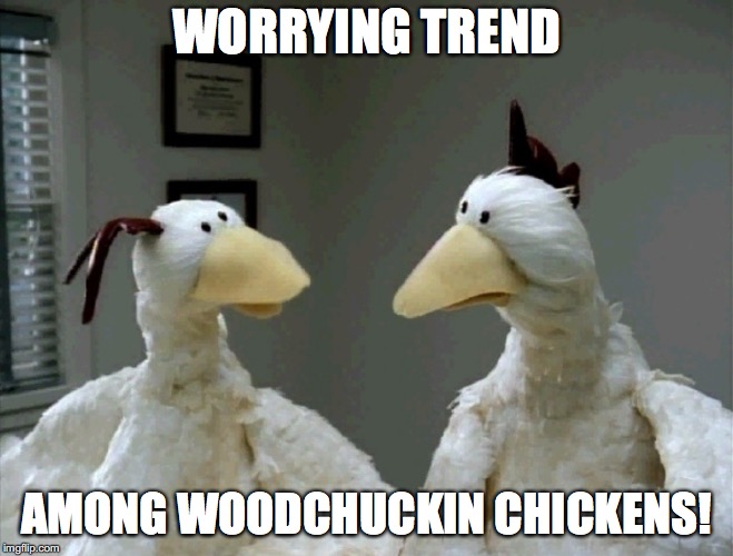 WORRYING TREND AMONG WOODCHUCKIN CHICKENS! | made w/ Imgflip meme maker