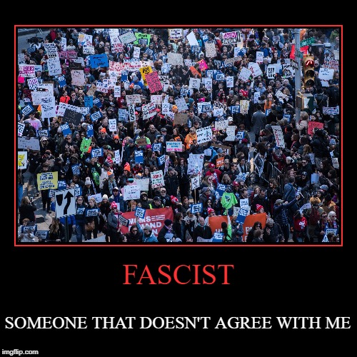 FASCIST | SOMEONE THAT DOESN'T AGREE WITH ME | image tagged in funny,demotivationals | made w/ Imgflip demotivational maker