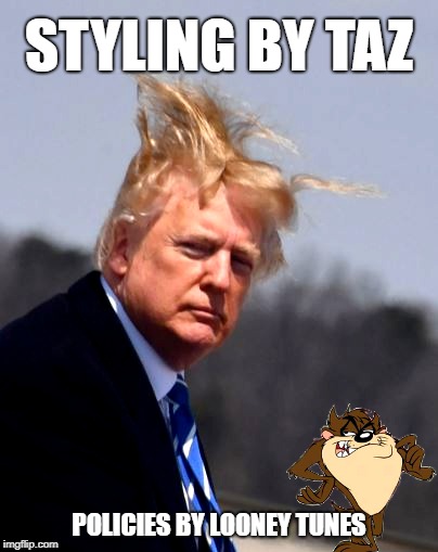 Styling By Taz | STYLING BY TAZ; POLICIES BY LOONEY TUNES | image tagged in looney tunes,donald trump,bad hair day | made w/ Imgflip meme maker