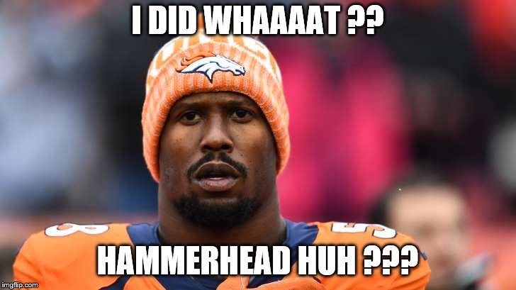 I DID WHAAAAT ?? HAMMERHEAD HUH ??? | image tagged in say what | made w/ Imgflip meme maker