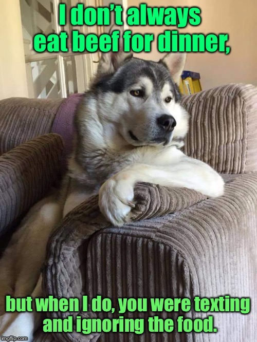 The struggle is real: for the human, that is. | . | image tagged in the most interesting dog in the world,beef,texting,no attention,fed dog,memes | made w/ Imgflip meme maker