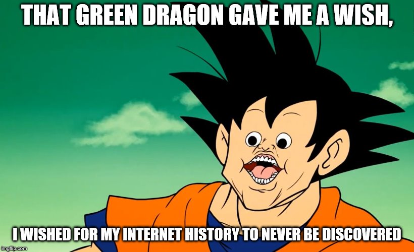 Should've asked for infinite wishes, but okay | THAT GREEN DRAGON GAVE ME A WISH, I WISHED FOR MY INTERNET HISTORY TO NEVER BE DISCOVERED | image tagged in kaka-karrot kake,browser history,memes | made w/ Imgflip meme maker