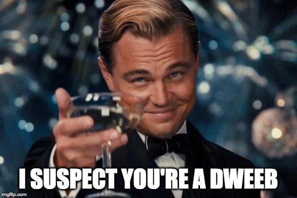 Leonardo Dicaprio Cheers Meme | I SUSPECT YOU'RE A DWEEB | image tagged in memes,leonardo dicaprio cheers | made w/ Imgflip meme maker