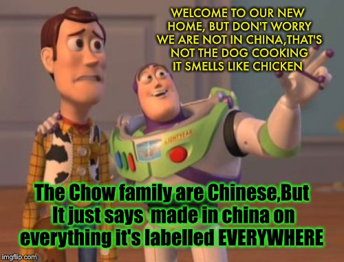 Toy story 4,The family exchange | WELCOME TO OUR NEW HOME, BUT DON'T WORRY WE ARE NOT IN CHINA,THAT'S NOT THE DOG COOKING IT SMELLS LIKE CHICKEN; The Chow family are Chinese,But It just says  made in china on everything it's labelled EVERYWHERE | image tagged in memes,x x everywhere,imgflip community,imgflip meme | made w/ Imgflip meme maker
