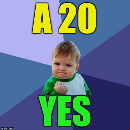 Success Kid Meme | A 20 YES | image tagged in memes,success kid | made w/ Imgflip meme maker