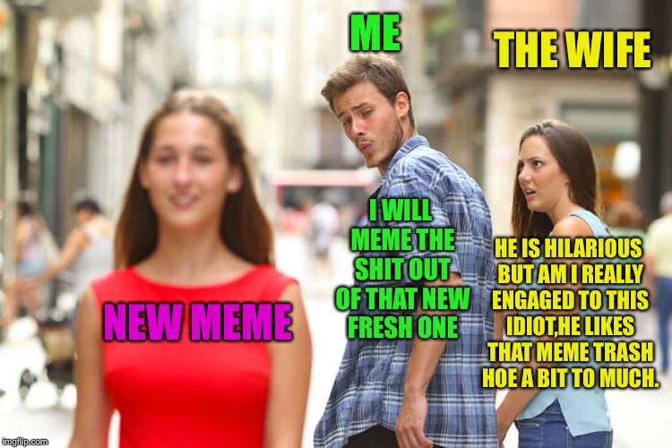 Distracted Boyfriend Meme | ME; THE WIFE; I WILL MEME THE SHIT OUT OF THAT NEW FRESH ONE; HE IS HILARIOUS BUT AM I REALLY ENGAGED TO THIS IDIOT,HE LIKES THAT MEME TRASH HOE A BIT TO MUCH. NEW MEME | image tagged in memes,distracted boyfriend,imgflip community,funny,meanwhile on imgflip | made w/ Imgflip meme maker