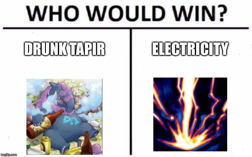 Who Would Win? Meme | DRUNK TAPIR; ELECTRICITY | image tagged in memes,who would win | made w/ Imgflip meme maker