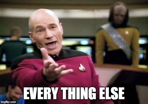 Picard Wtf Meme | EVERY THING ELSE | image tagged in memes,picard wtf | made w/ Imgflip meme maker