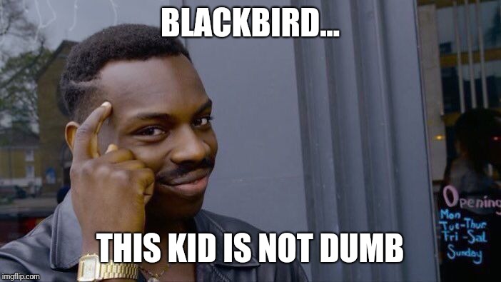 Roll Safe Think About It Meme | BLACKBIRD... THIS KID IS NOT DUMB | image tagged in memes,roll safe think about it | made w/ Imgflip meme maker