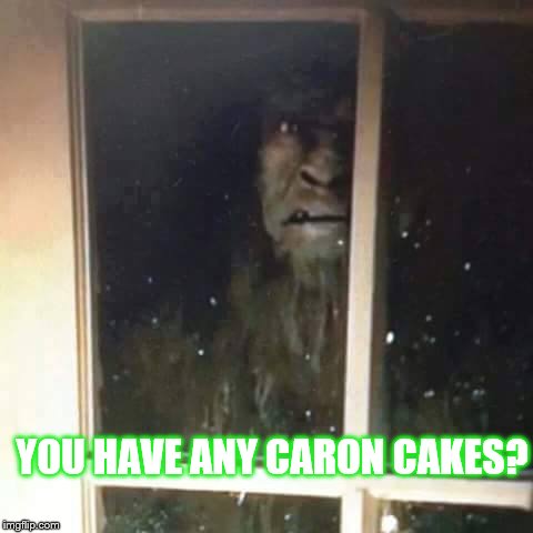 YOU HAVE ANY CARON CAKES? | image tagged in sharpad 514 | made w/ Imgflip meme maker
