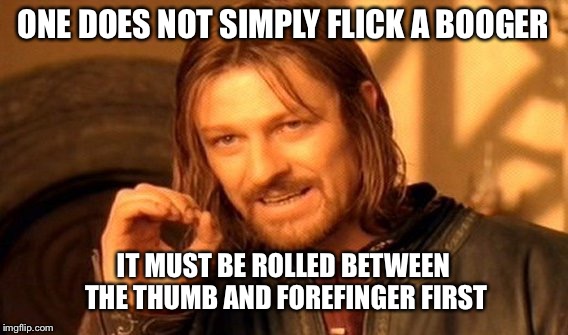 One Does Not Simply Meme | ONE DOES NOT SIMPLY FLICK A BOOGER; IT MUST BE ROLLED BETWEEN THE THUMB AND FOREFINGER FIRST | image tagged in memes,one does not simply | made w/ Imgflip meme maker
