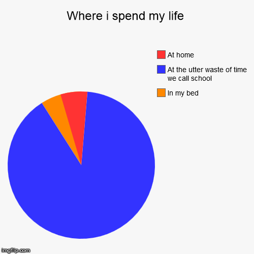 Where i spend my life | In my bed, At the utter waste of time we call school, At home | image tagged in funny,pie charts | made w/ Imgflip chart maker