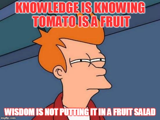 Futurama Fry Meme | KNOWLEDGE IS KNOWING TOMATO IS A FRUIT; WISDOM IS NOT PUTTING IT IN A FRUIT SALAD | image tagged in memes,futurama fry | made w/ Imgflip meme maker