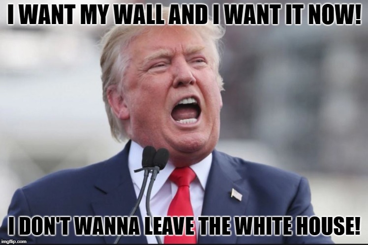 spoiled president | I WANT MY WALL AND I WANT IT NOW! I DON'T WANNA LEAVE THE WHITE HOUSE! | image tagged in spoiled brat | made w/ Imgflip meme maker