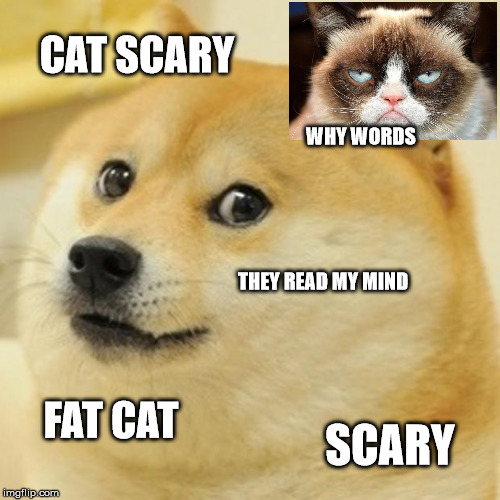 Doge | CAT SCARY; WHY WORDS; THEY READ MY MIND; FAT CAT; SCARY | image tagged in memes,doge | made w/ Imgflip meme maker