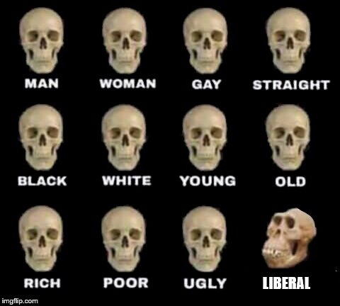 idiot skull | LIBERAL | image tagged in idiot skull | made w/ Imgflip meme maker