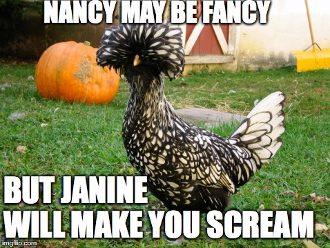 NANCY MAY BE FANCY BUT JANINE           WILL MAKE YOU SCREAM | made w/ Imgflip meme maker
