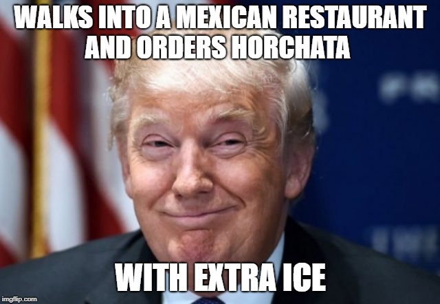 WALKS INTO A MEXICAN RESTAURANT AND ORDERS HORCHATA; WITH EXTRA ICE | image tagged in ice ice baby | made w/ Imgflip meme maker