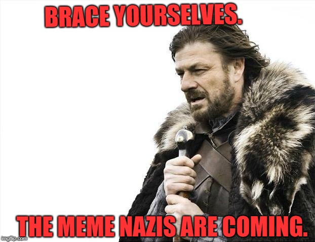 Brace Yourselves X is Coming | BRACE YOURSELVES. THE MEME NAZIS ARE COMING. | image tagged in memes,brace yourselves x is coming | made w/ Imgflip meme maker