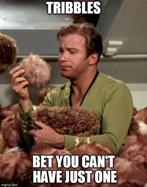 Kirk and Tribbles | TRIBBLES; BET YOU CAN'T HAVE JUST ONE | image tagged in captain kirk,tribbles,star trek | made w/ Imgflip meme maker