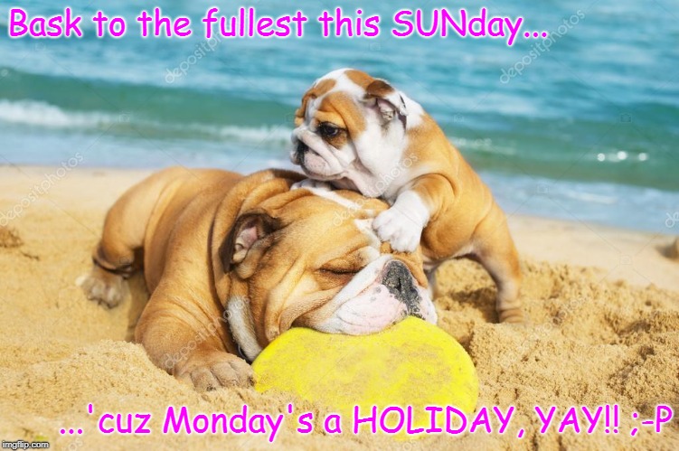 BULLDOGS on the Beach
 | Bask to the fullest this SUNday... ...'cuz Monday's a HOLIDAY, YAY!! ;-P | image tagged in bulldogs,sunday,monday holiday | made w/ Imgflip meme maker
